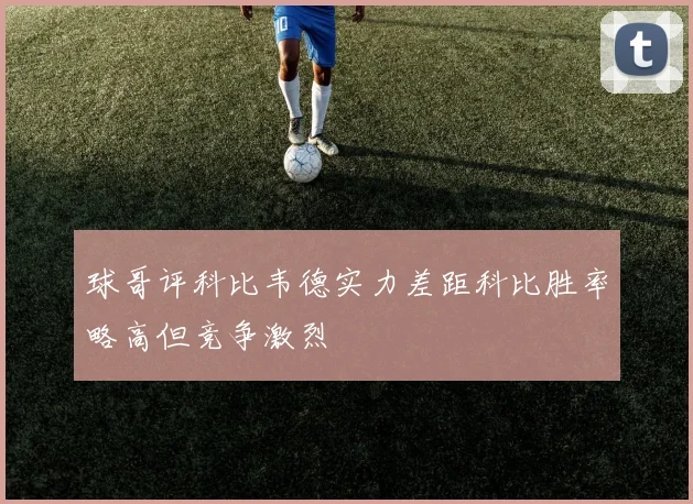球哥评科比韦德实力差距科比胜率略高但竞争激烈